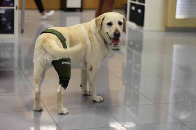 Compatibilidad Biológica