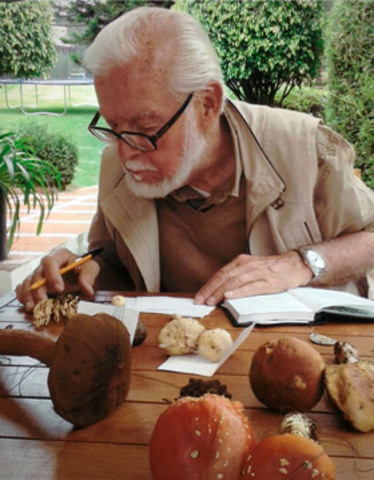 Estudios químicos de los hongos sagrados