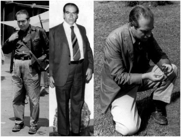 Experiencias con hongos alucinógenos  y revistas