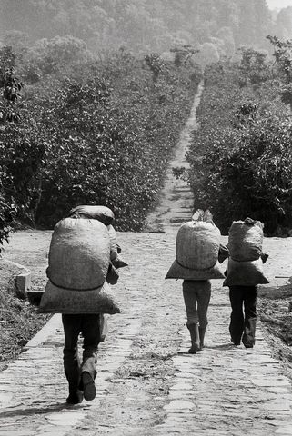 Evolución Constitucional - Administración del General Francisco Menendez