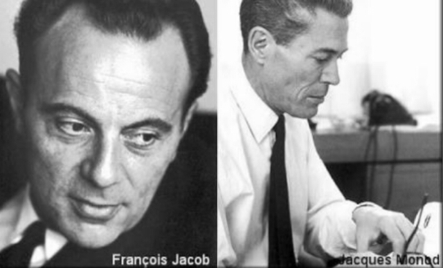 Jacques L. Monod (biólogo francés) y François Jacob (biólogo francés)