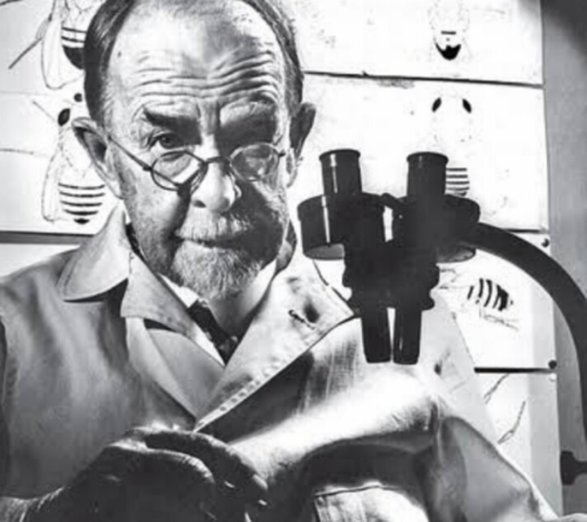 Thomas Hunt Morgan (genetista estadounidense)