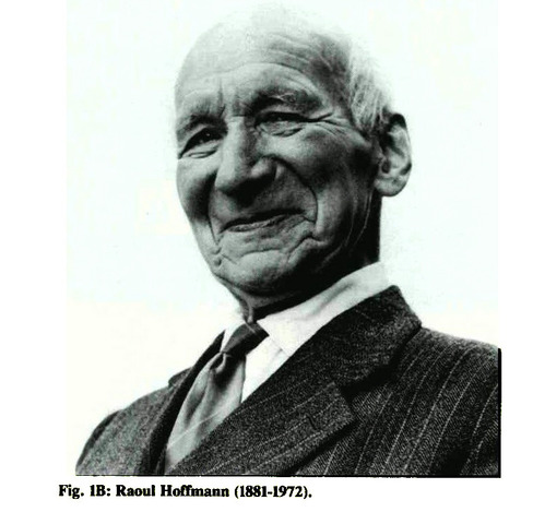 RAOUL HOFFMAN