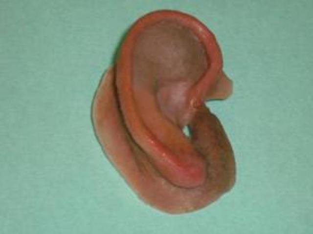 Nuevos Biomateriales