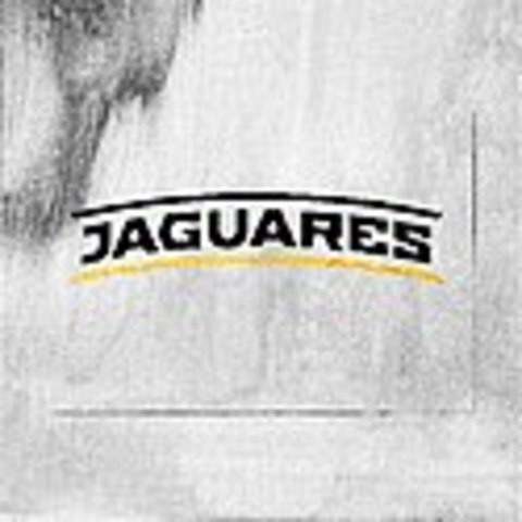 Jaguares (Super Rugby)