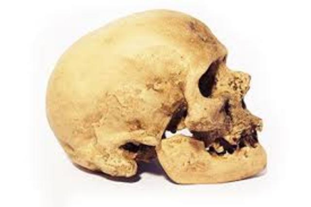 Homo Sapiens Sapiens