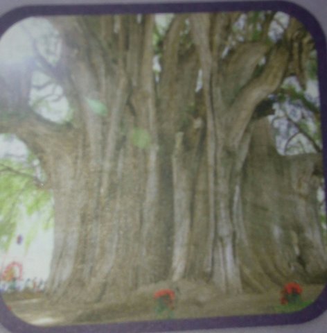 despues la comunicacion fue