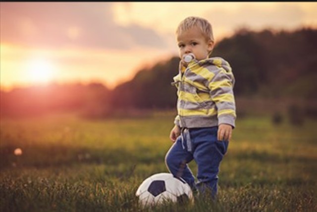 1 año y medio a 2 años