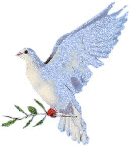 Responsabilidad de victimas por el conflicto