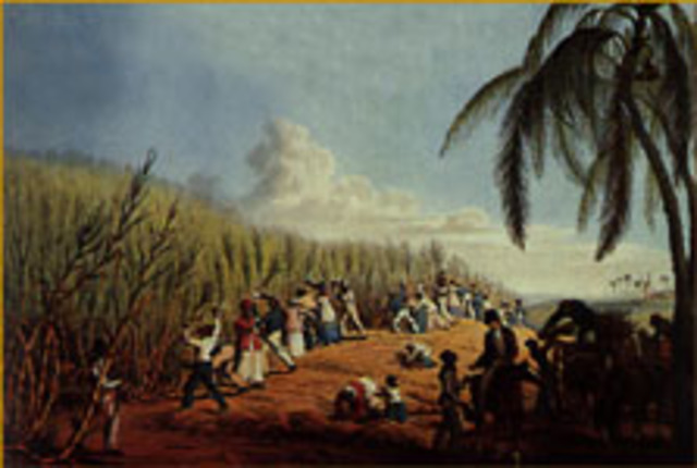 resistencia indigenas