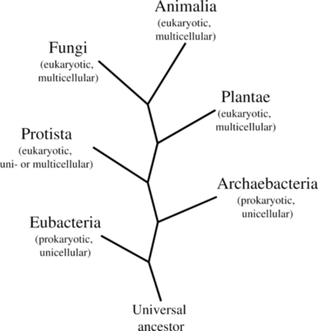 4000 Millones de años Aparición LUCA