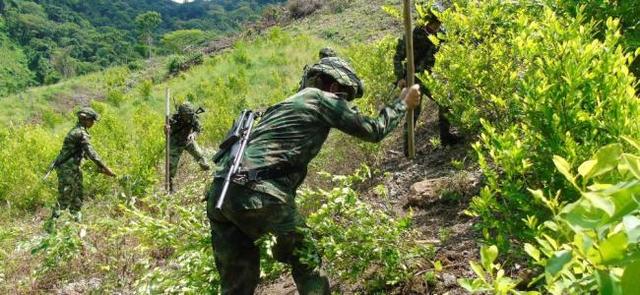 llegan a un acuerdo sobre narcotrafico y cultivos ilícitos