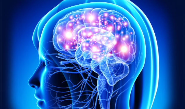 Línea de tiempo del CEREBRO