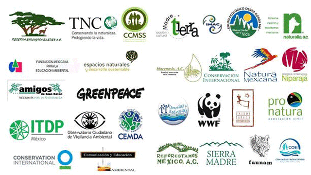 Se promulgaron las primeras leyes ambientales