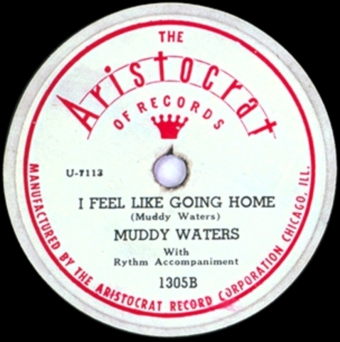 Muddy's Climbing to the Top!