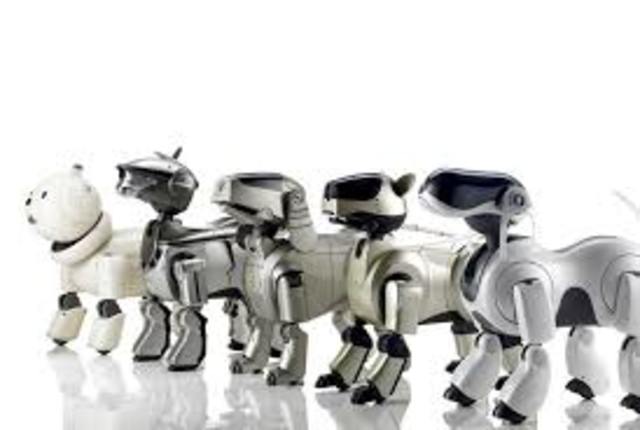 AIBO
