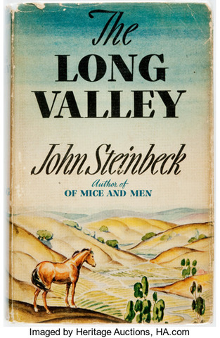 The Long Valley Published