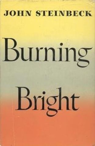 Burning Bright Published