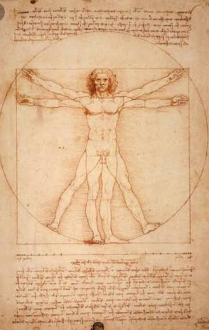 Renacimiento siglo XV al XVI