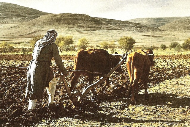 TECNIFICO LA AGRICULTURA
