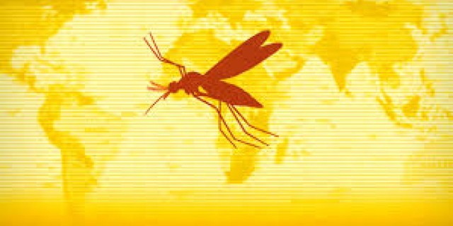 Fiebre en el Colegio