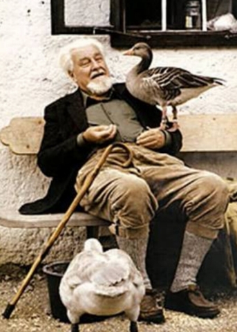 Konrad Lorenz (zoólogo austriaco)