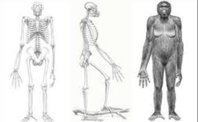 El homínido más antiguo, hallado