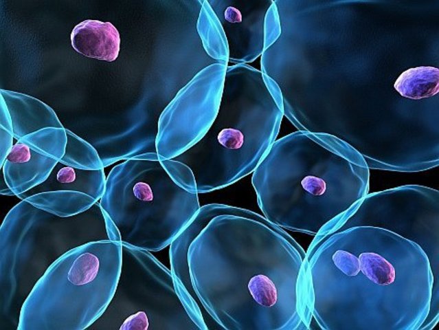 Reprogramación celular