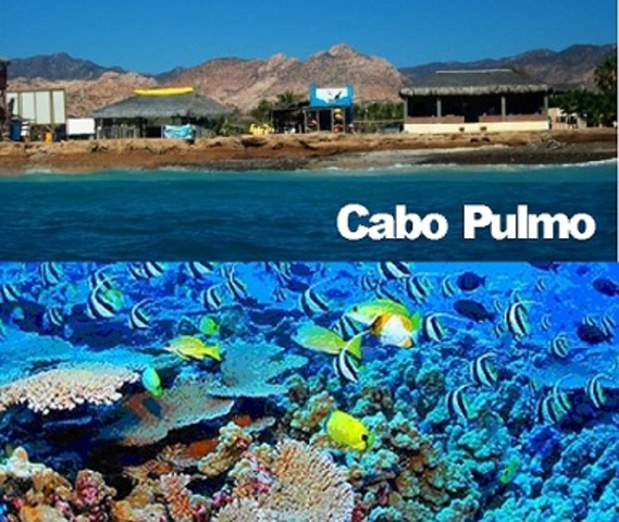 Cabo Pulmo