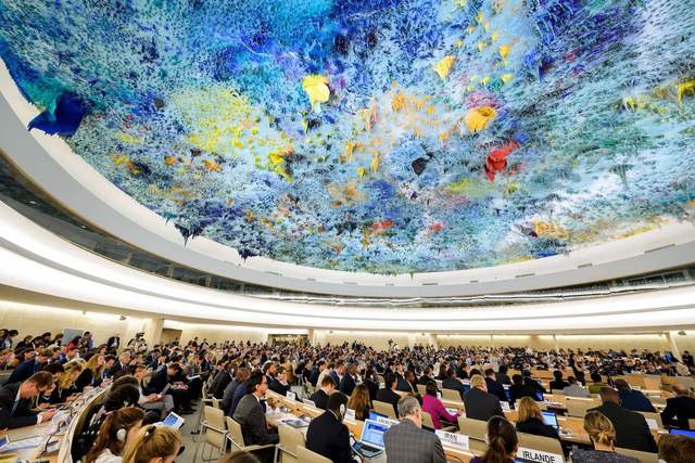 The Human Rights Council Flourishes in the United Nations