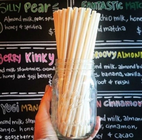 Popotes biodegradables