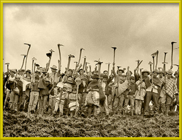 ESTUDIO DE ANEMIA TROPICAL