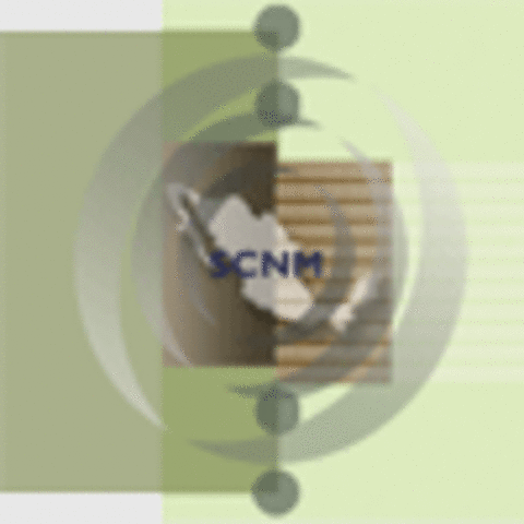 Cuenta Satélite del Turismo