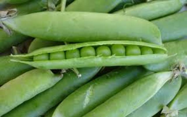 A. Morgan; Dimitri Neijubov