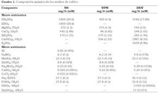 Murashige y Skoog - Medio MS