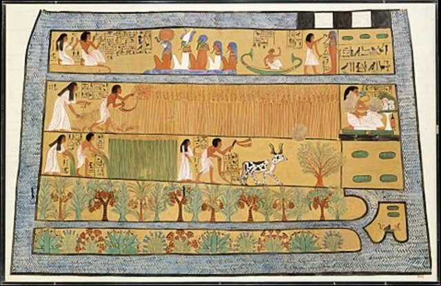 Irrigation et agriculture