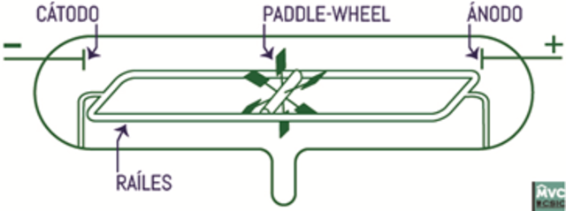 1869. Johann Wilhelm Hittrof