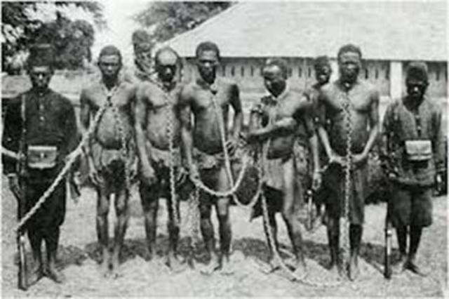 Inicio de la era del caucho