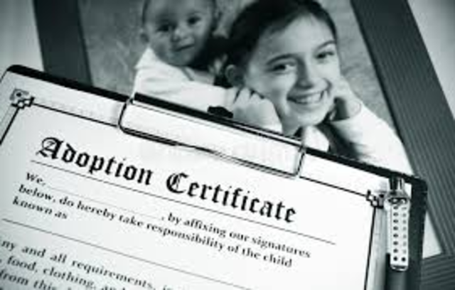 Incremento del Proceso de adopción