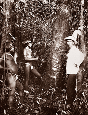 Orígenes del BOOM del caucho