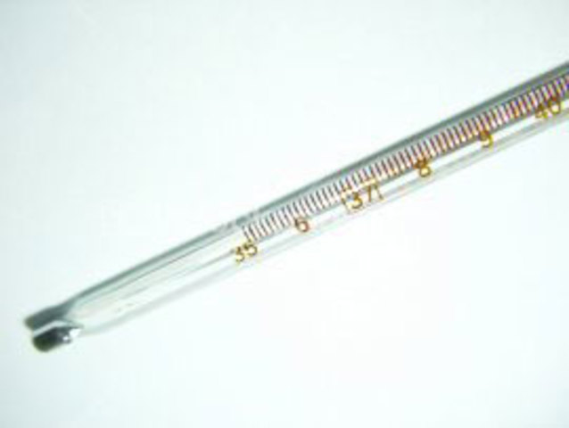 Thermometer