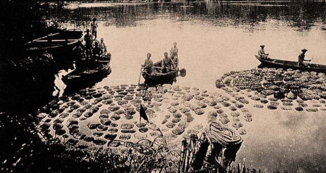 Fin de la era del caucho