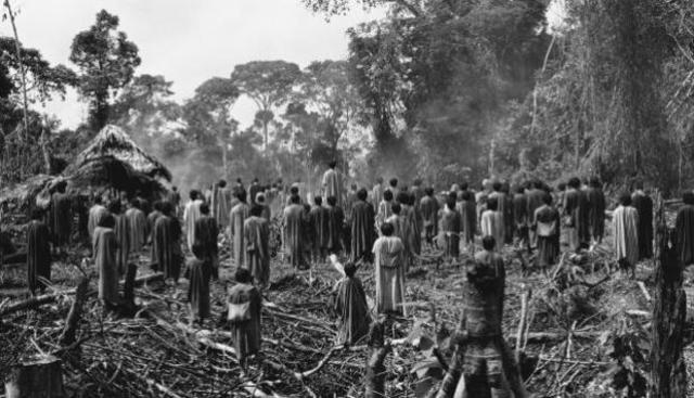 Creación de las "compañías de servicios"