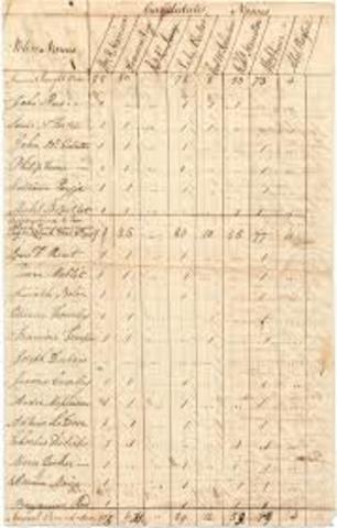 Representation of Blacks Act No 12