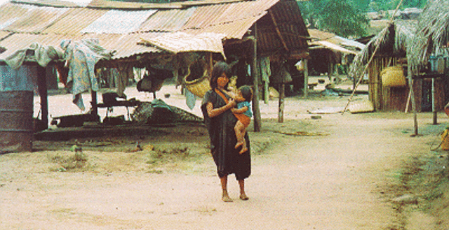 Situación de crisis en el Perú