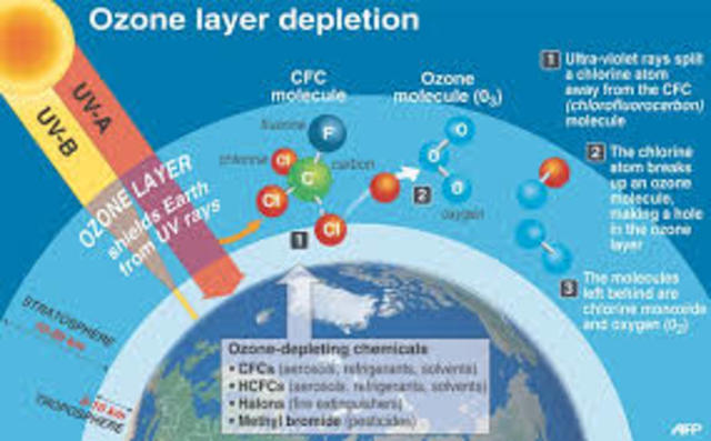 Treaty on Ozone Layer