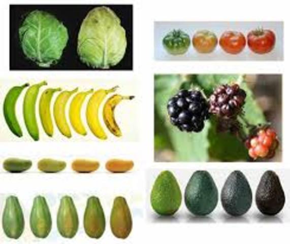 White; Gautheret; R. Gone et. al.