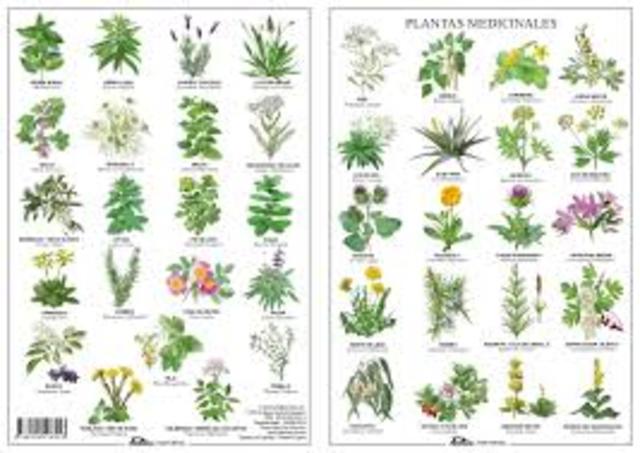 Prakash y Van Staden