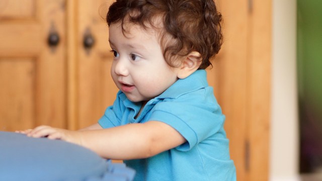 1Año - 1 Año y medio