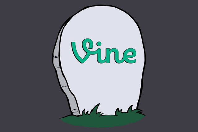 Vine